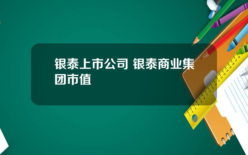 银泰上市公司 银泰商业集团市值